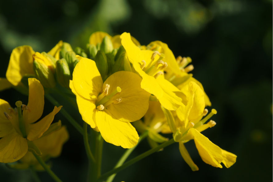#Agriculture #SaudiArabia #AgriExports #Investment #Agribusiness #PortInfrastructure #Ukraine